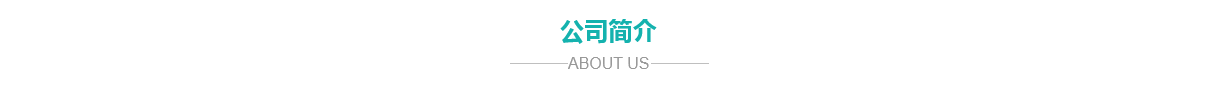 公司簡(jiǎn)介 公司簡(jiǎn)介