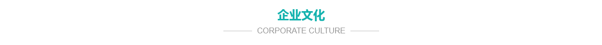 公司簡(jiǎn)介 公司簡(jiǎn)介