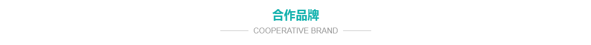 公司簡(jiǎn)介 公司簡(jiǎn)介
