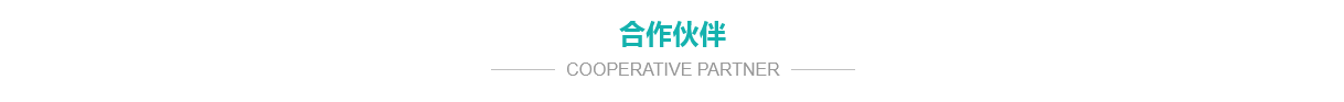 公司簡(jiǎn)介 公司簡(jiǎn)介