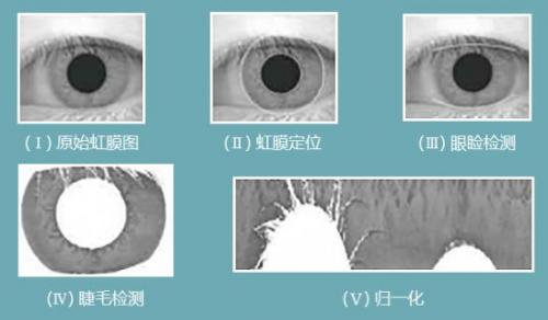 虹膜傳感器，戴眼鏡也能秒解鎖